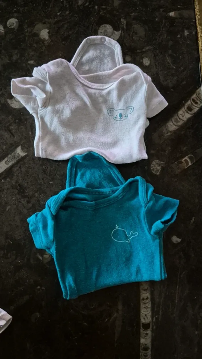 Lot bodies garçon 3 mois - photo numéro 2