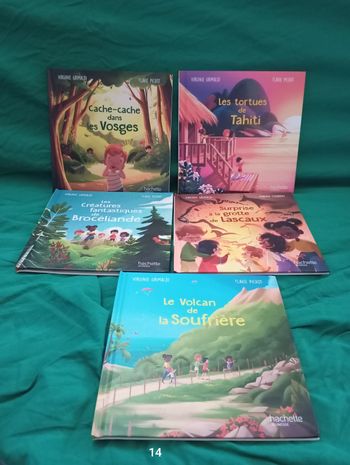 Lot 5 livres de Virginie Grimaldi et Flavie Pichot 