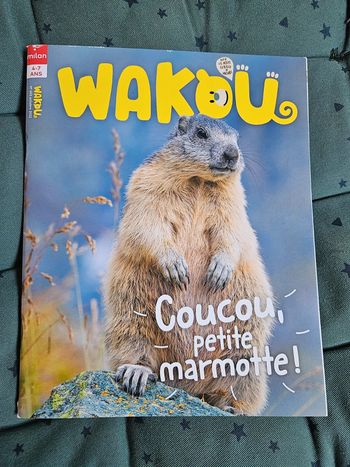 Magazine Wakou