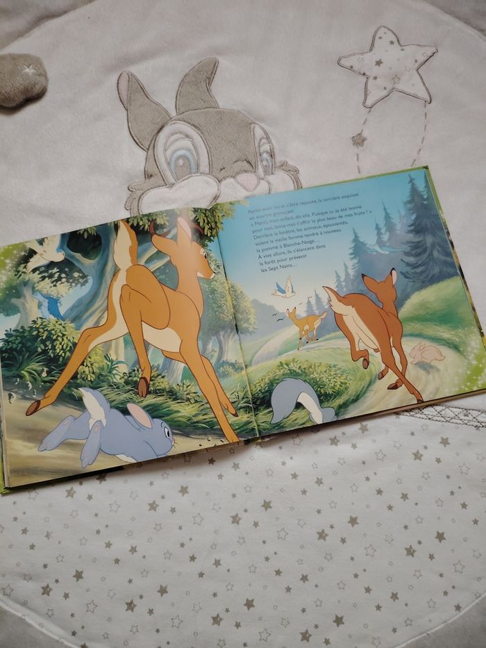 Livre blanche neige - photo numéro 4