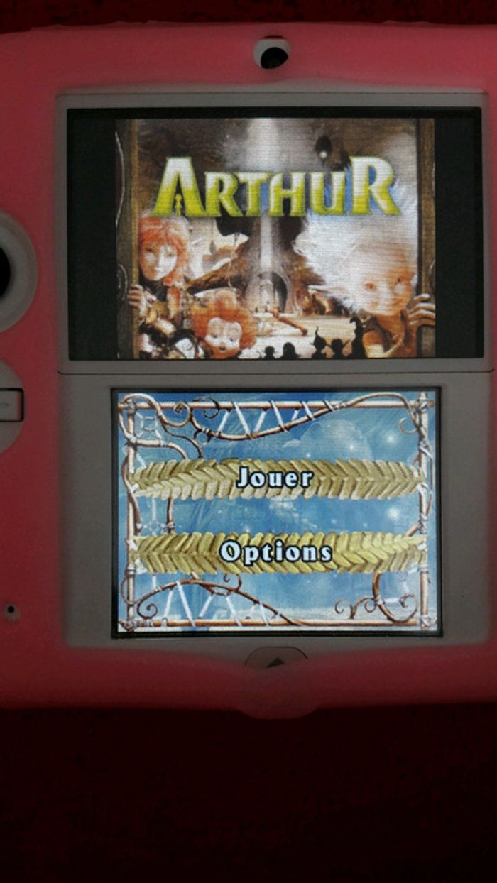 Jeux nintendo ds Arthur - photo numéro 2