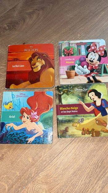 Lots livre Disney