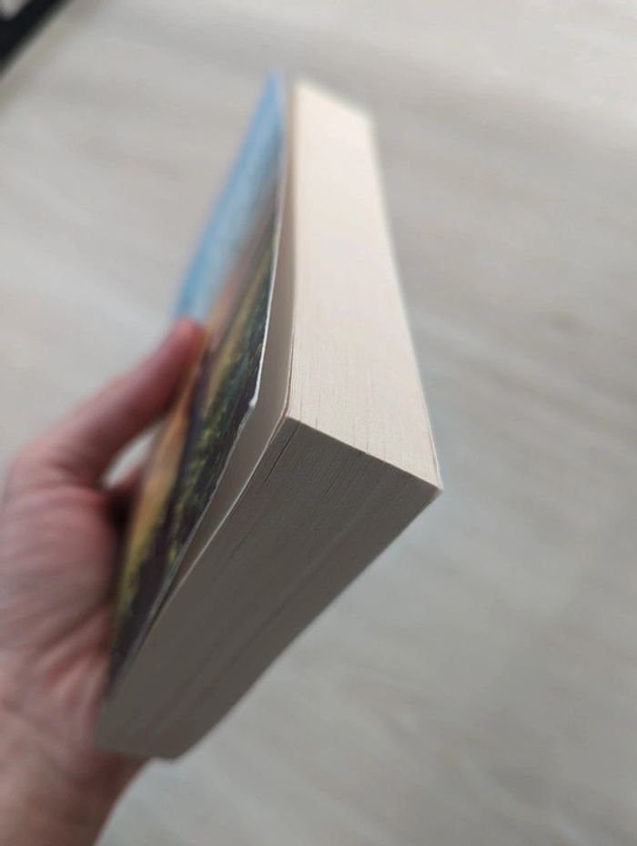 La mariée de ceylan - Dinah jefferies - photo numéro 4