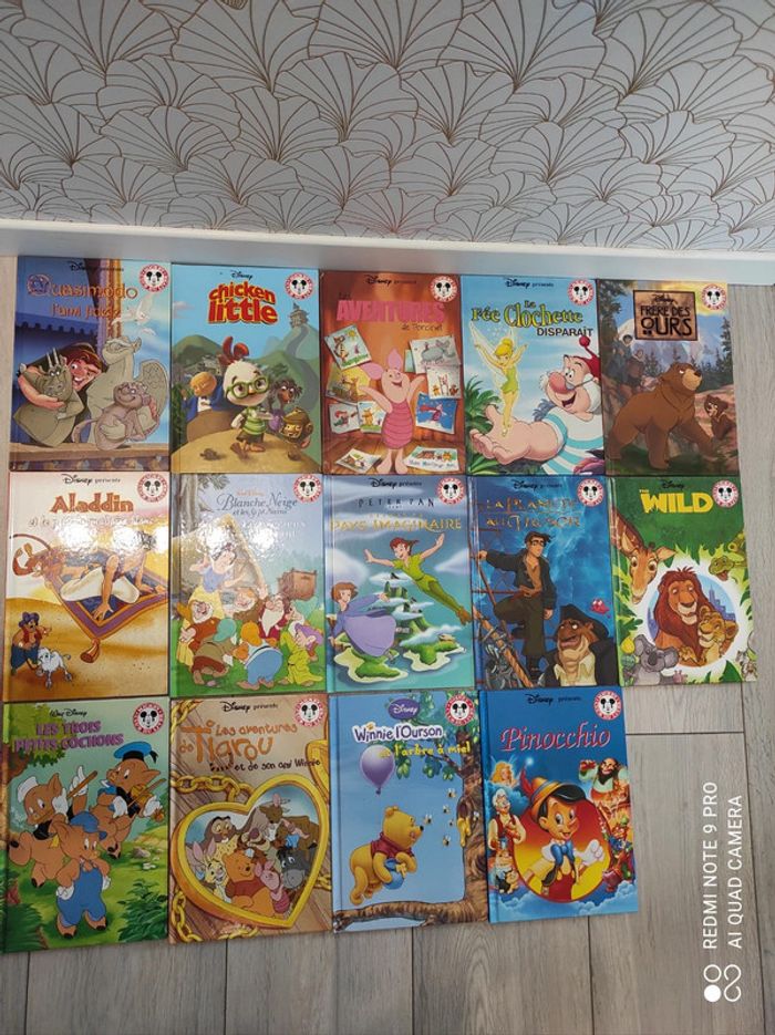 Livre Disney collection club mickey