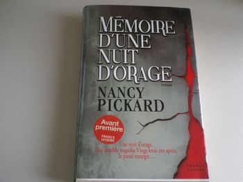 MEMOIRE D'UNE NUIT D'ORAGE