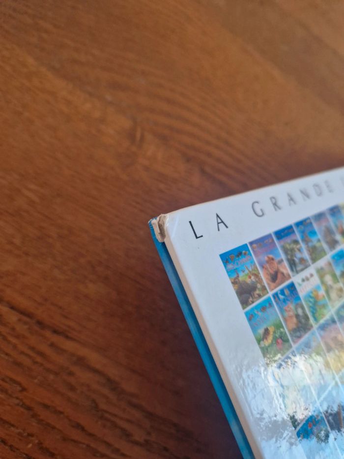 Livre La grande imagerie 🐎 - photo numéro 3