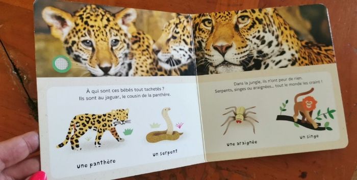 Livre musical animaux - photo numéro 3