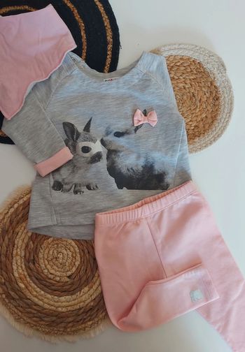 Ensemble animal lapin 🐰 mi saison sweat shirt pull fin léger manches longues avec legging