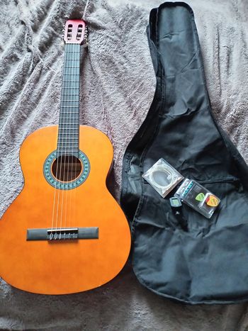 Guitare Thomann