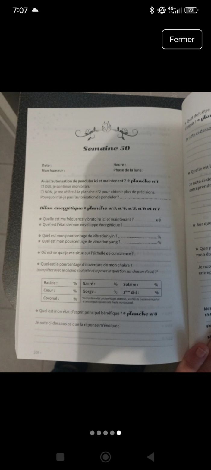 Journal de pendule - auto-bilan énergétique - photo numéro 5