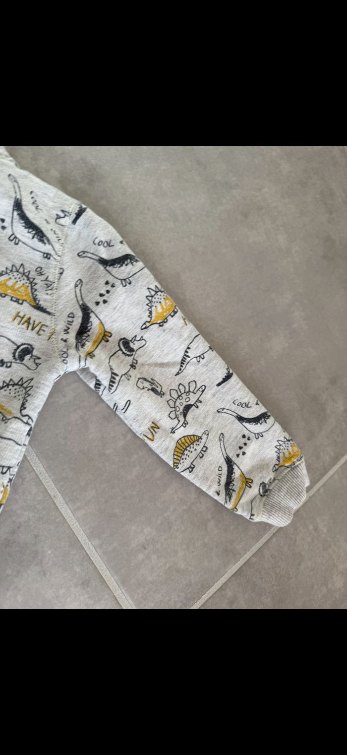 Sweat Dinosaure 24 mois - photo numéro 9