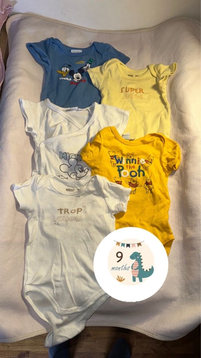 Lot de 10 bodies manches courtes – Taille 9 mois
