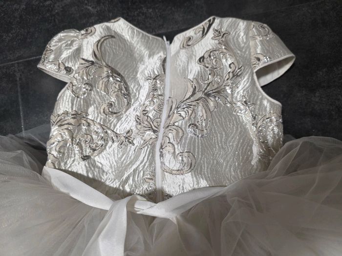 Robe princesse - photo numéro 3