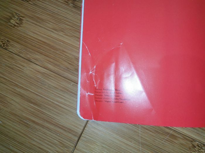 Petit Lapin Blanc est un coquin - photo numéro 9