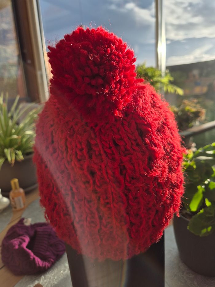 Bonnet - photo numéro 2