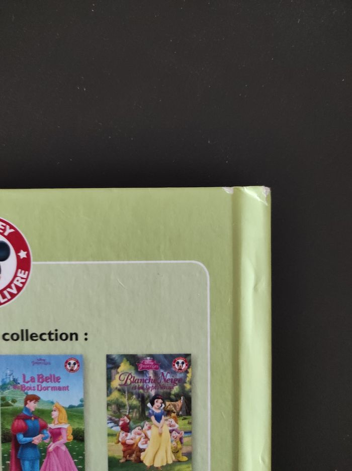 📖 Livre Disney La Fée Clochette – Très bon état - photo numéro 5