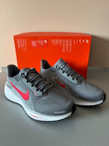 NIKE AIR ZOOM PEGASUS 41