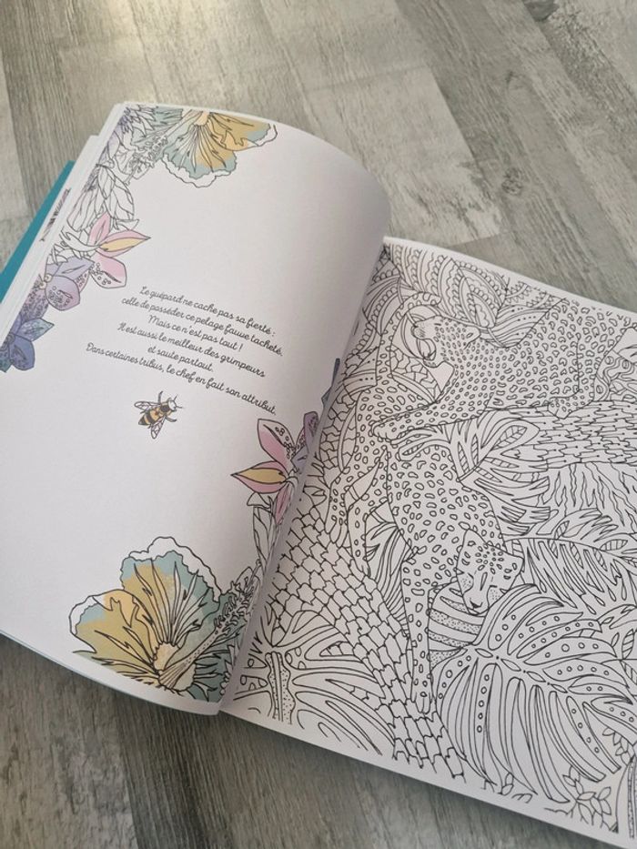 Livre coloriage jungle enchantée - photo numéro 4