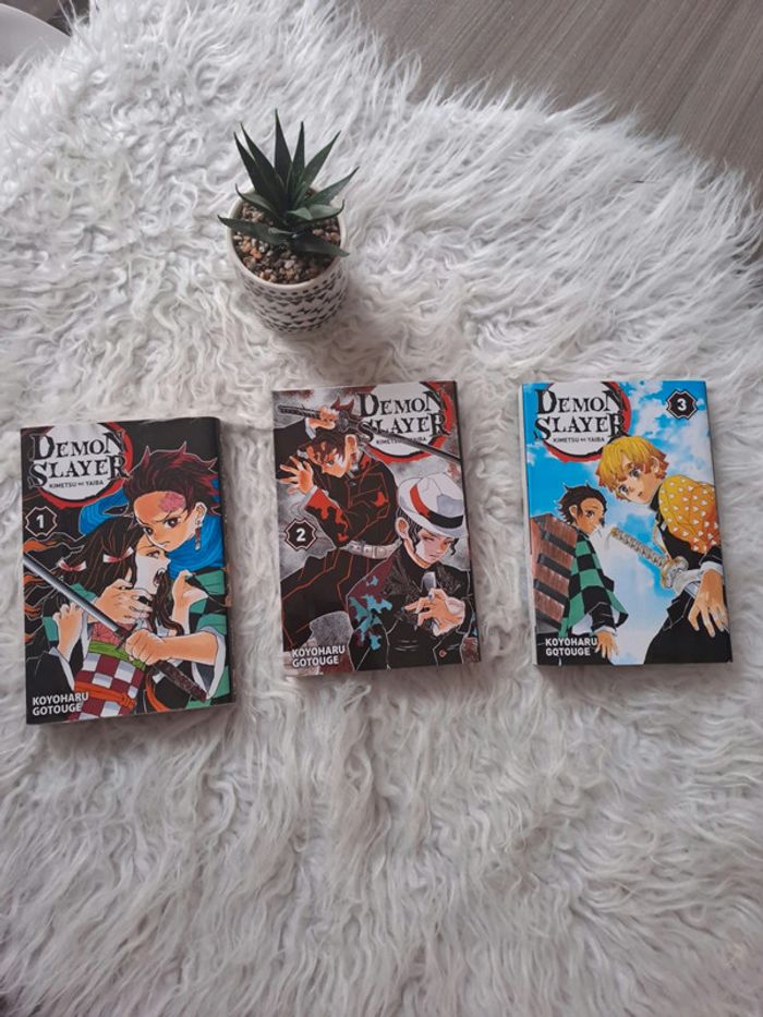 Manga démon slayer tome 1 2 3