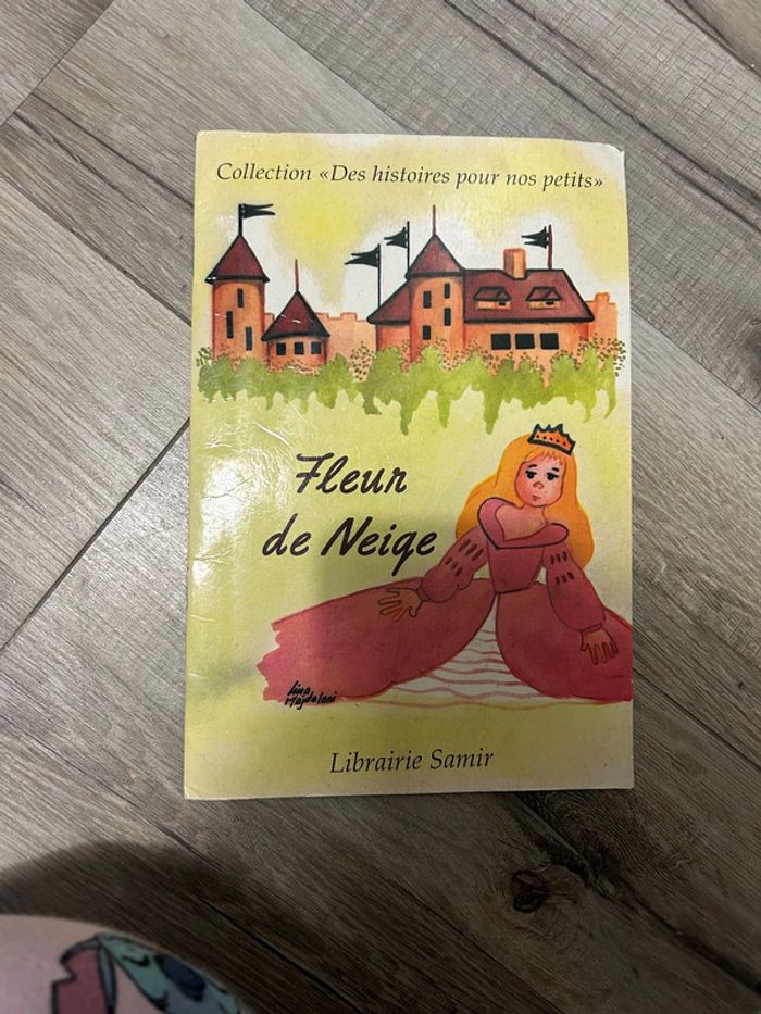 Livre des années 90 , fleur de neige