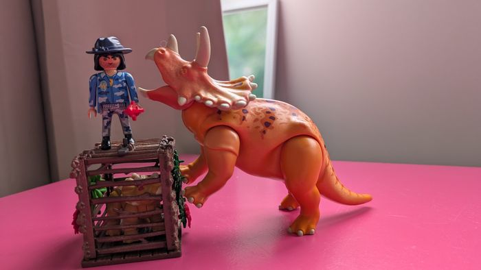 5 sets de playmobil dinosaures - photo numéro 5