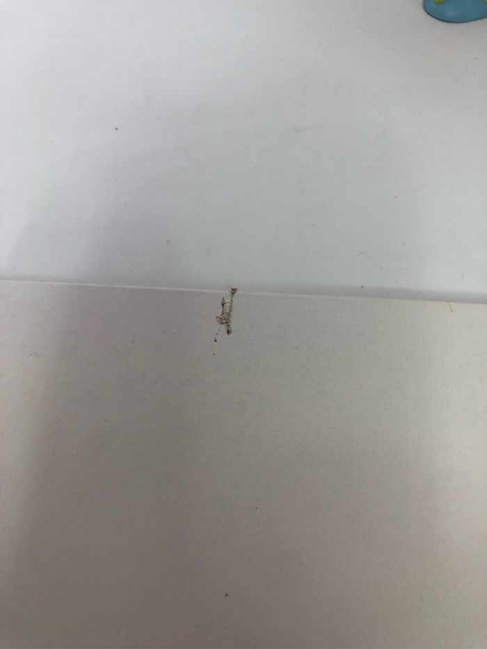 Flash Gordon Guy l’éclair - photo numéro 5