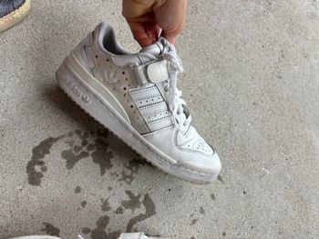 Basket Adidas blanche