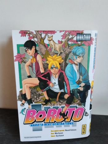 Boruto