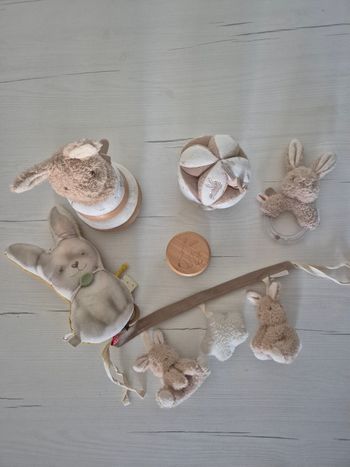 Lot baby bunny little dutch