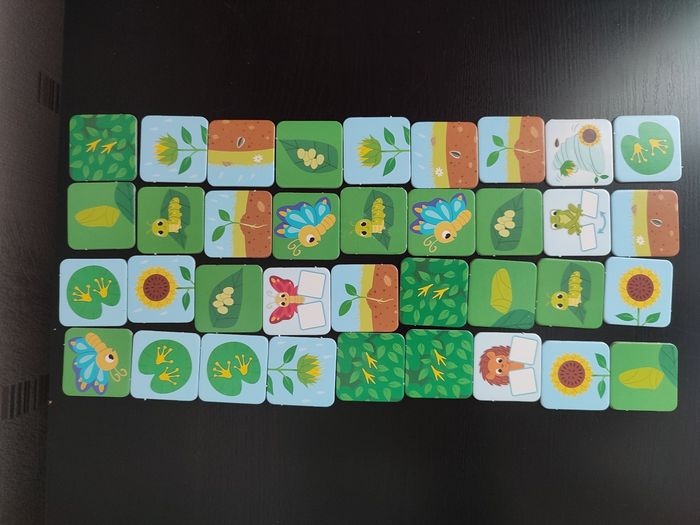 Jeu éducatif Bioviva - Petit devient Grand - Complet - Cycle de vie
- photo numéro 7