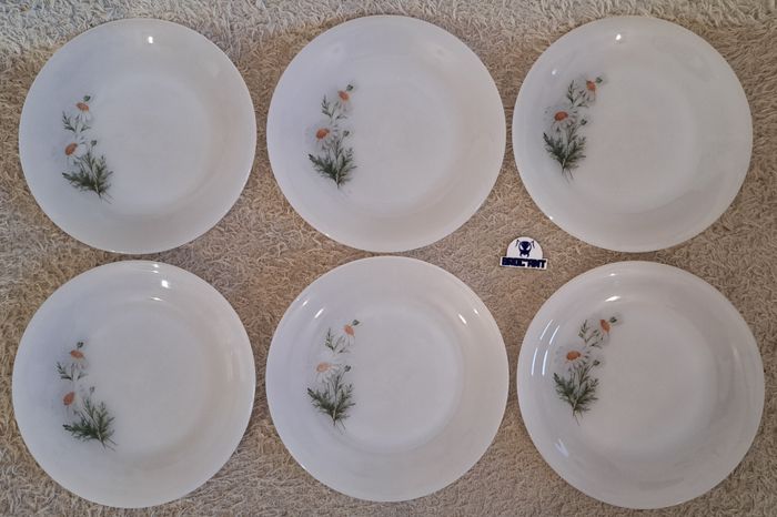 Lot de 6 assiettes à dessert Arcopal France décor Marguerites