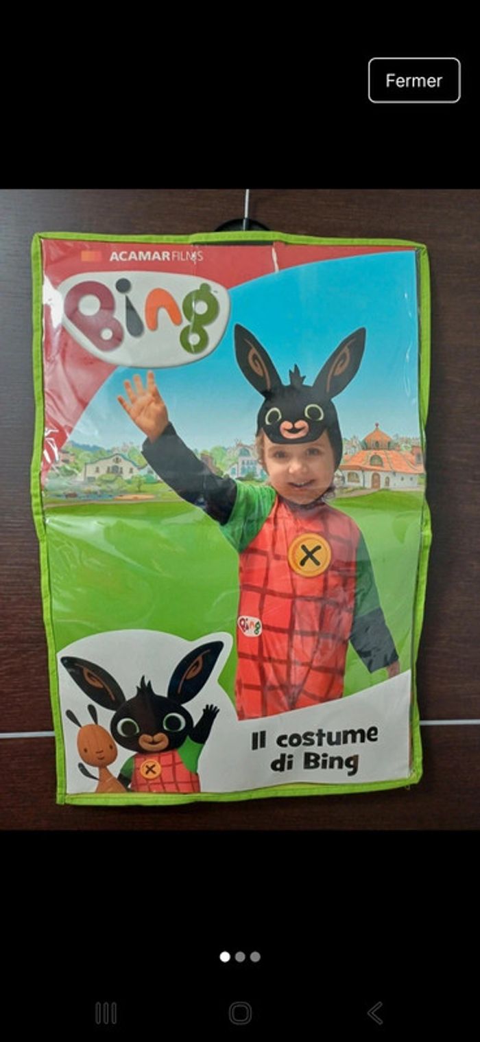 Costume de carnaval BING