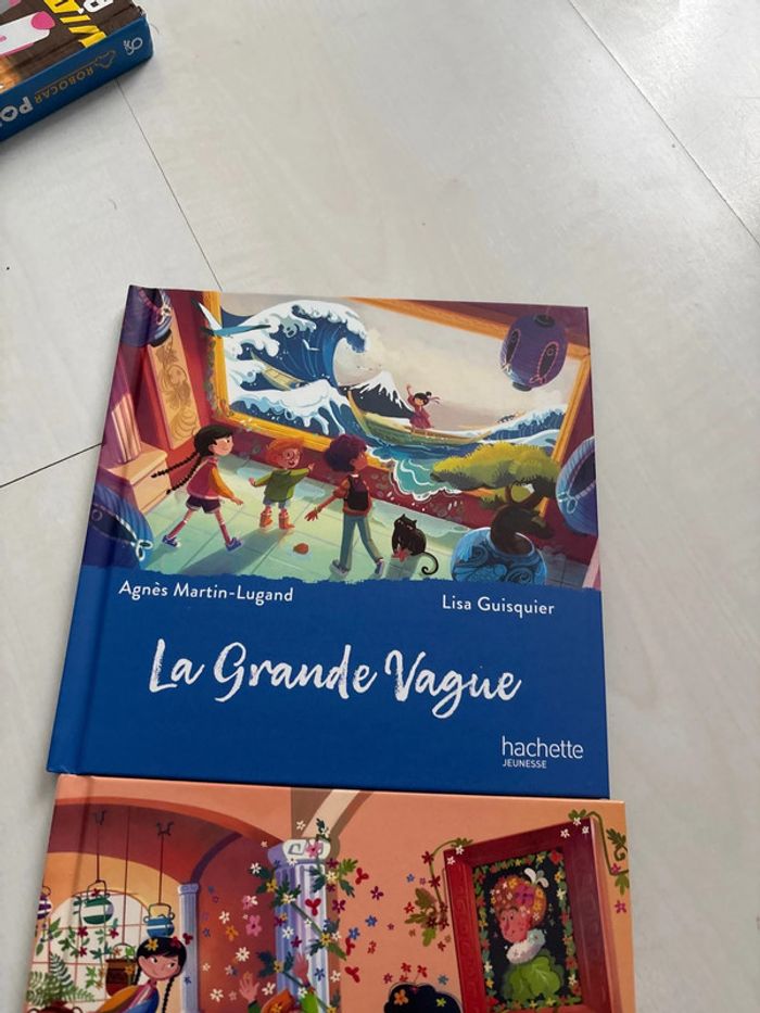 Lot de 2 livres Mac do - photo numéro 3