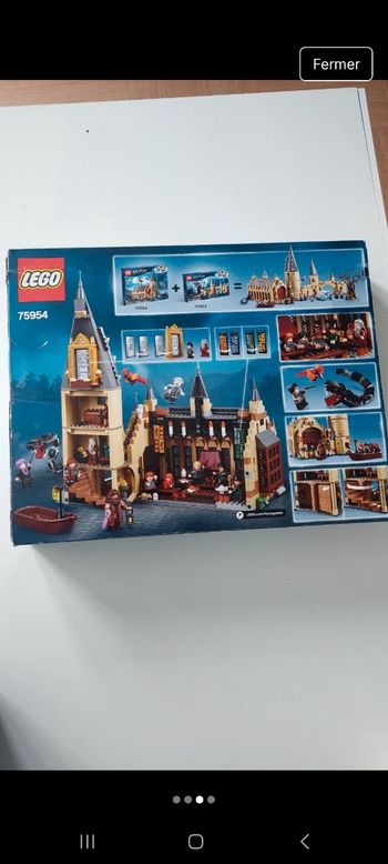 Lego Harry Potter 75954