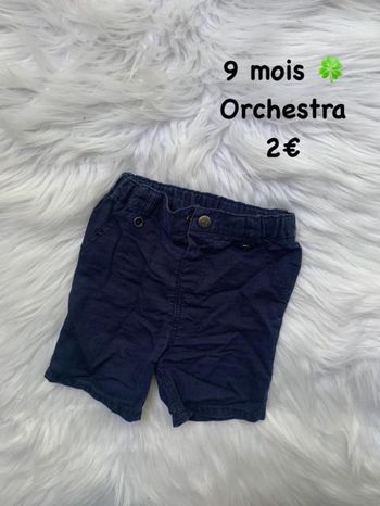 Short 🍀 9 mois 🍀 Orchestra