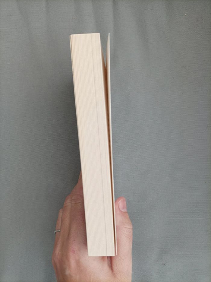 Livre " les flammes de Whidbey" Elizabeth George neuf - photo numéro 2