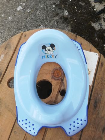 Siège pour toilette mickey in