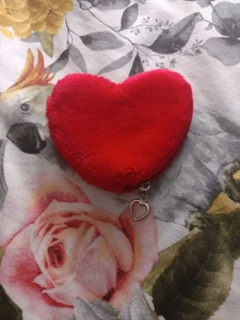 Porte monnaie coeur