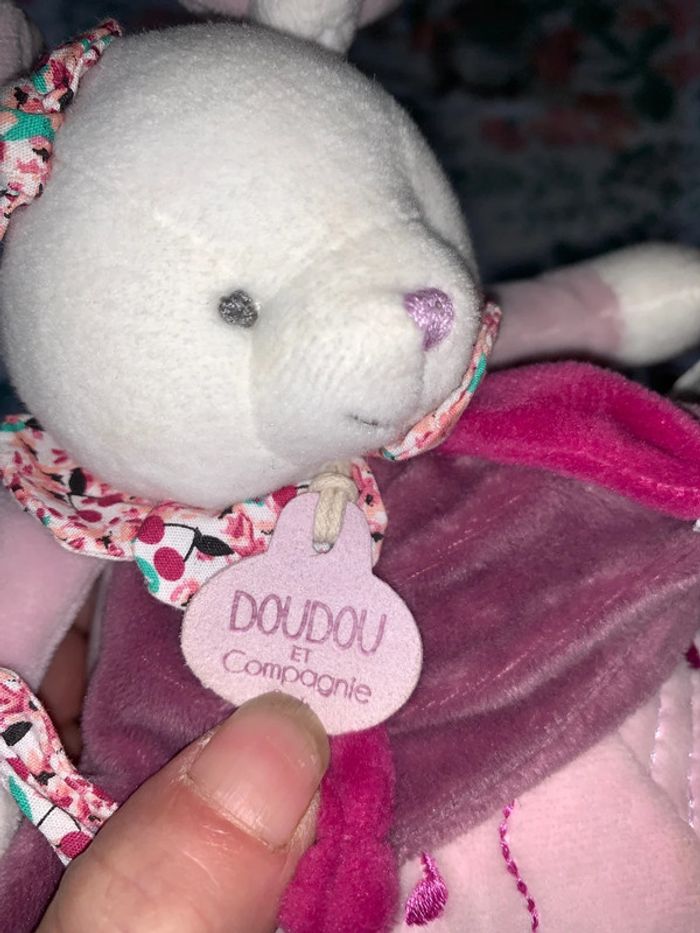 Magnifique doudous musicale doudou et compagnie - photo numéro 4