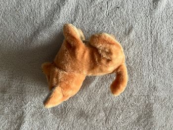 Chien Peluche  sonore