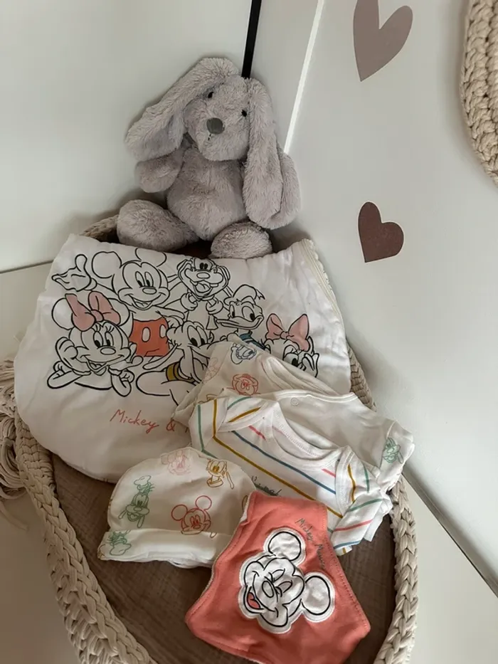 Ensemble Disney