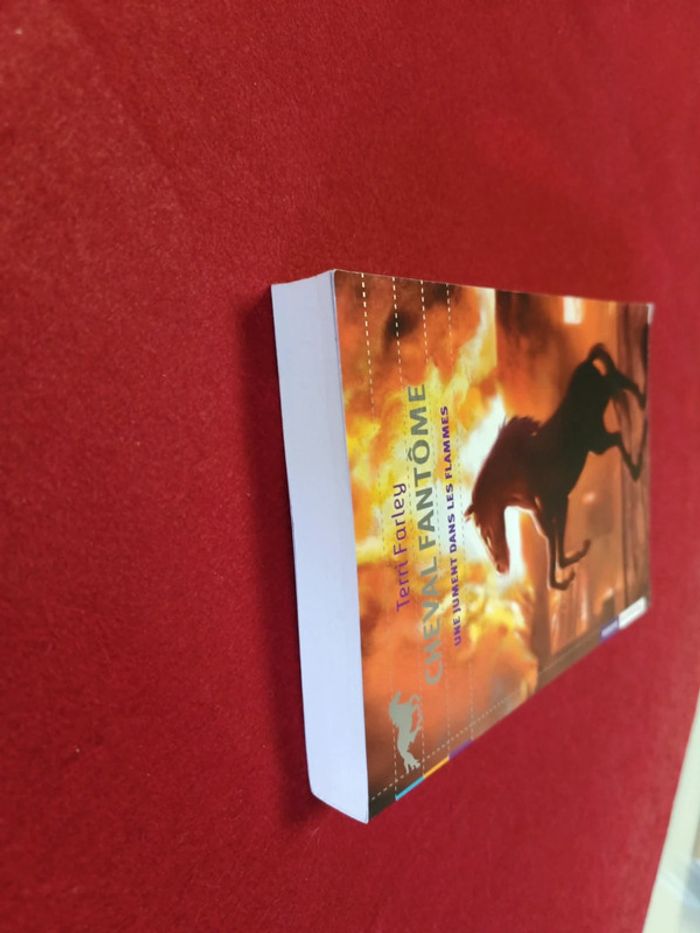 Cheval fantôme Tome 3 " Une jument dans les flammes " Terri Farley - photo numéro 4