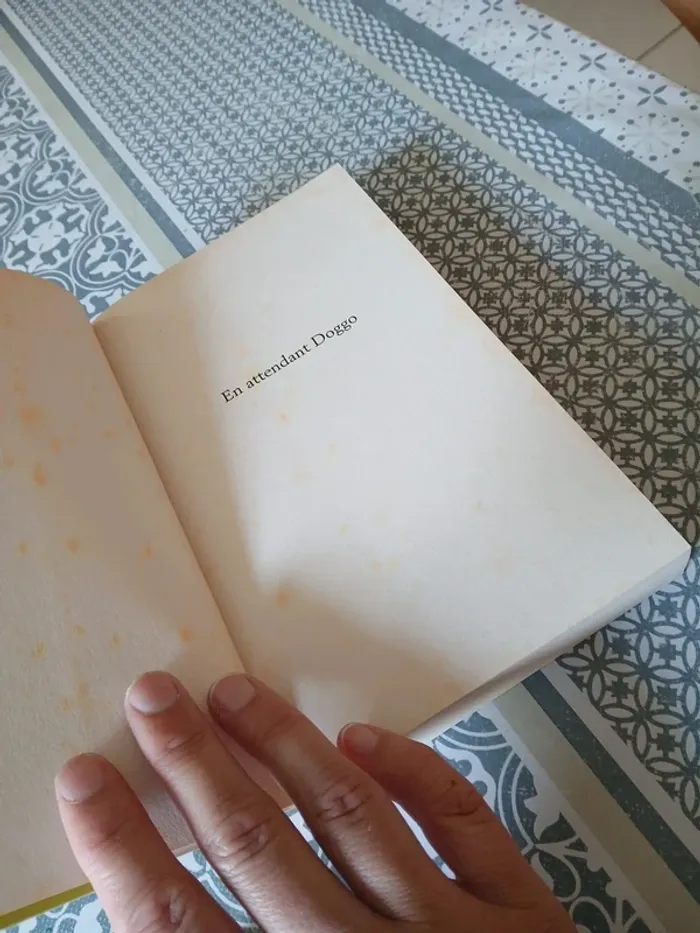 Roman - En attendant Doggo - photo numéro 6