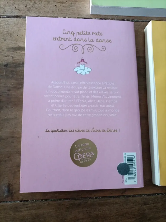 Livre danse - photo numéro 5