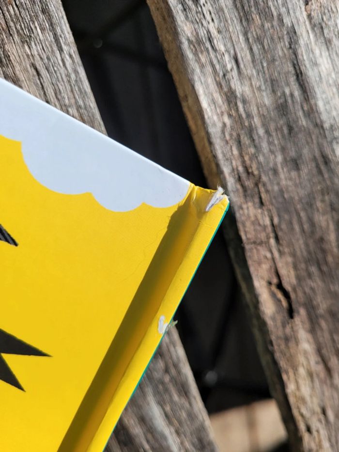 Très joli livre à volets, éditions Sarbacane, Et toi, où tu fais caca? - photo numéro 19