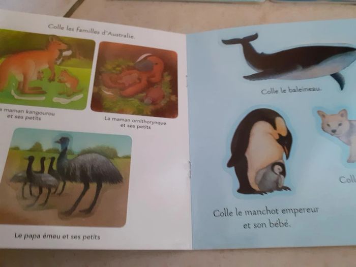 Lot 5 livres imagier - photo numéro 7