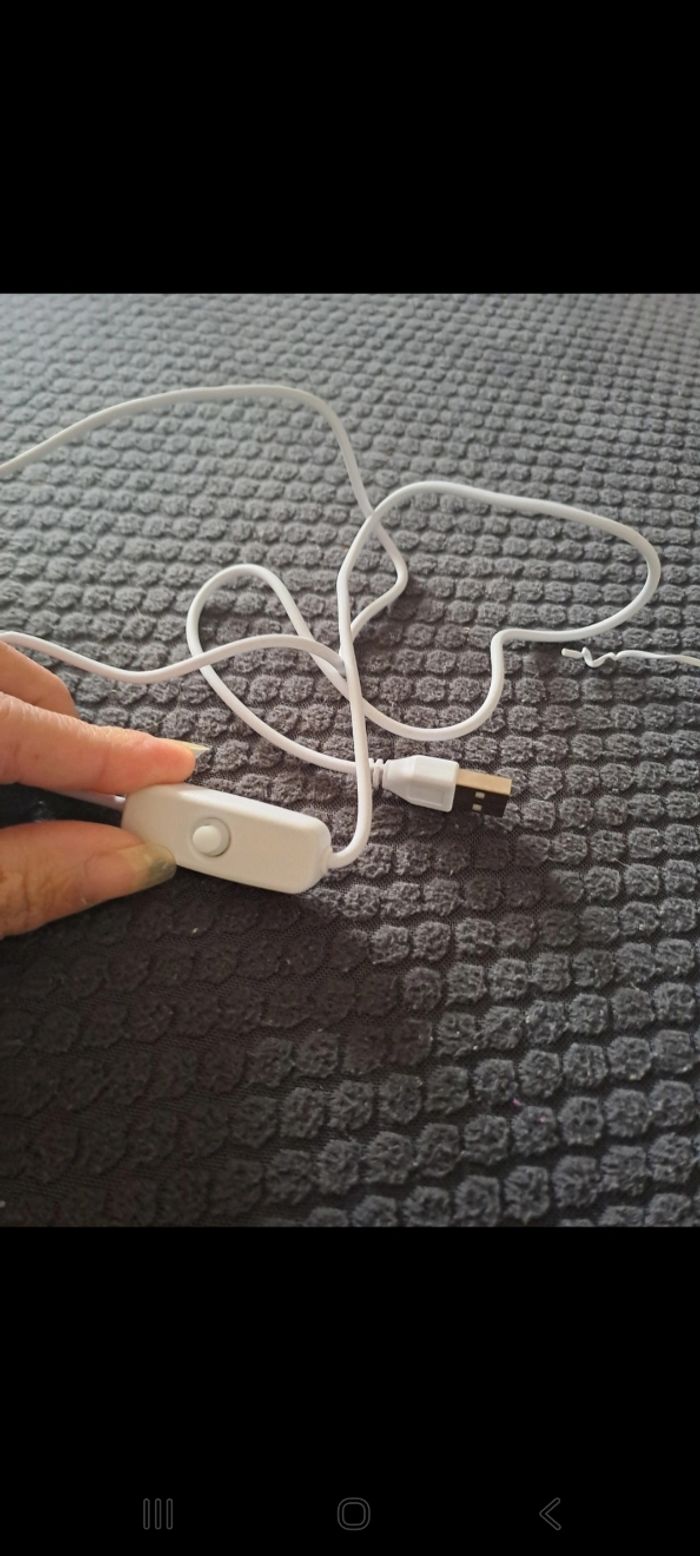 Lion en resine - photo numéro 7