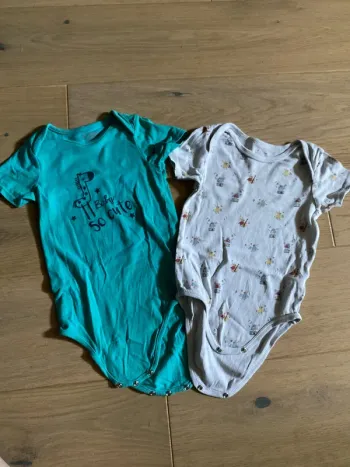 Lot bodies manche courte 36 mois