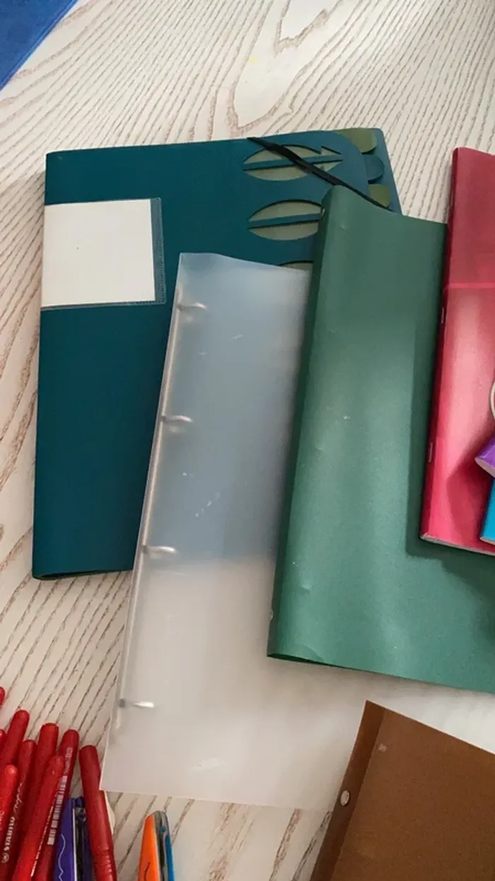 gros lot scolaire classeurs cahiers porte vue etc - photo numéro 3