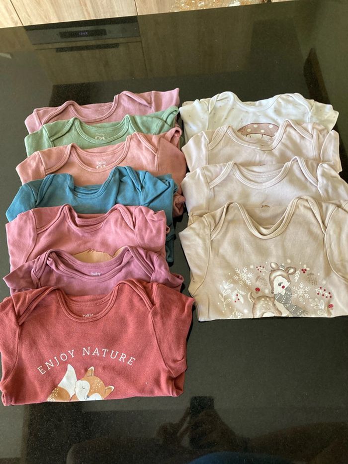 Lot 11 bodies